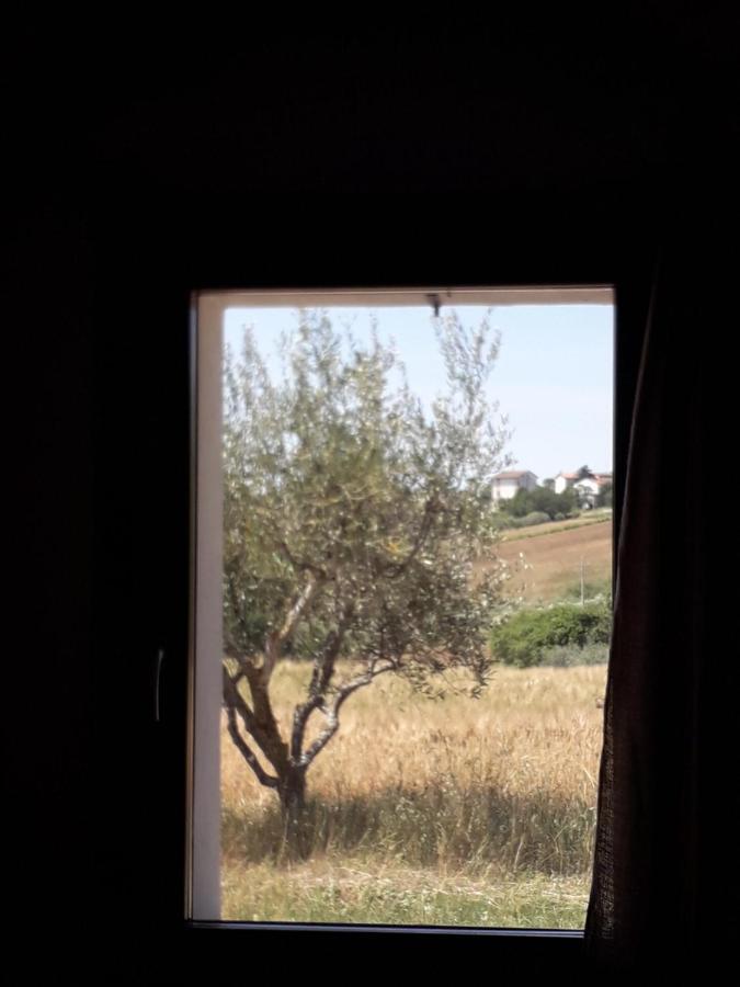 Bed and Breakfast Casa Rosa San Costanzo Exterior foto