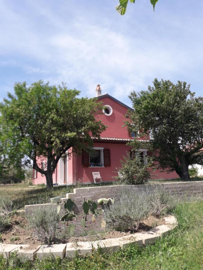 Bed and Breakfast Casa Rosa San Costanzo Exterior foto
