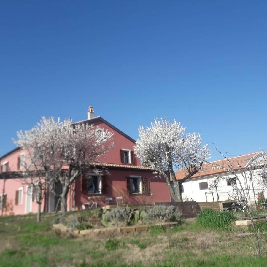 Bed and Breakfast Casa Rosa San Costanzo Exterior foto