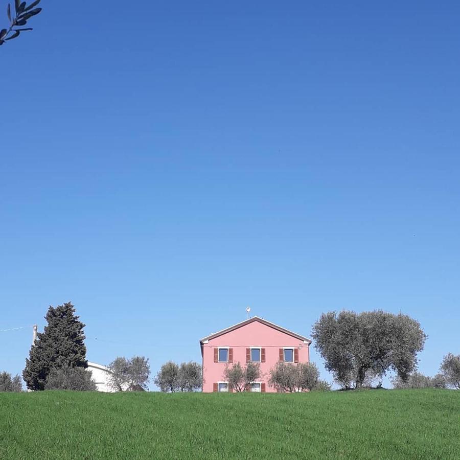 Bed and Breakfast Casa Rosa San Costanzo Exterior foto